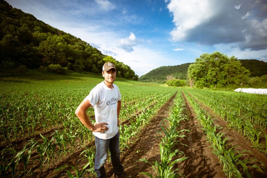 Rachunek e-AGRO BIZNES